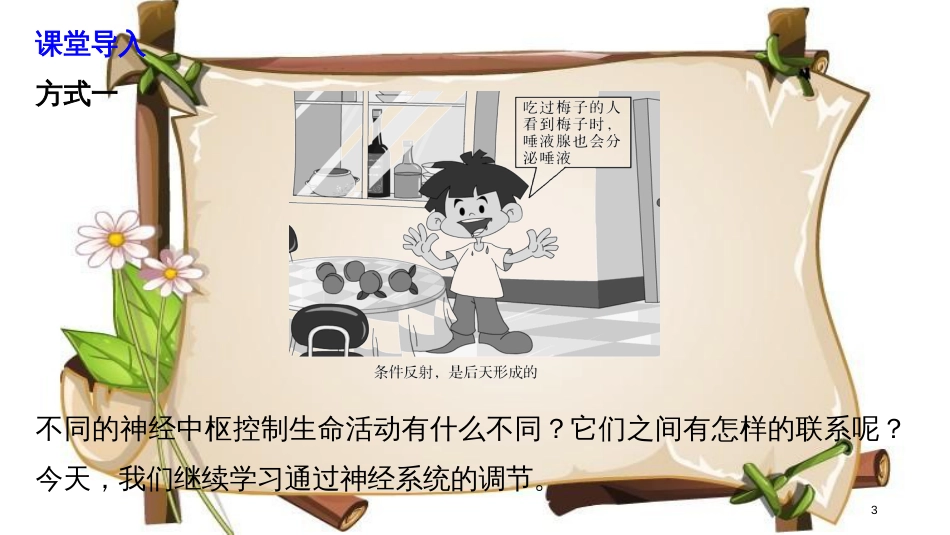 （全国通用版）高中生物 第2章 动物和人体生命活动的调节 第1节 通过神经系统的调节（Ⅱ）课件 新人教版必修3_第3页