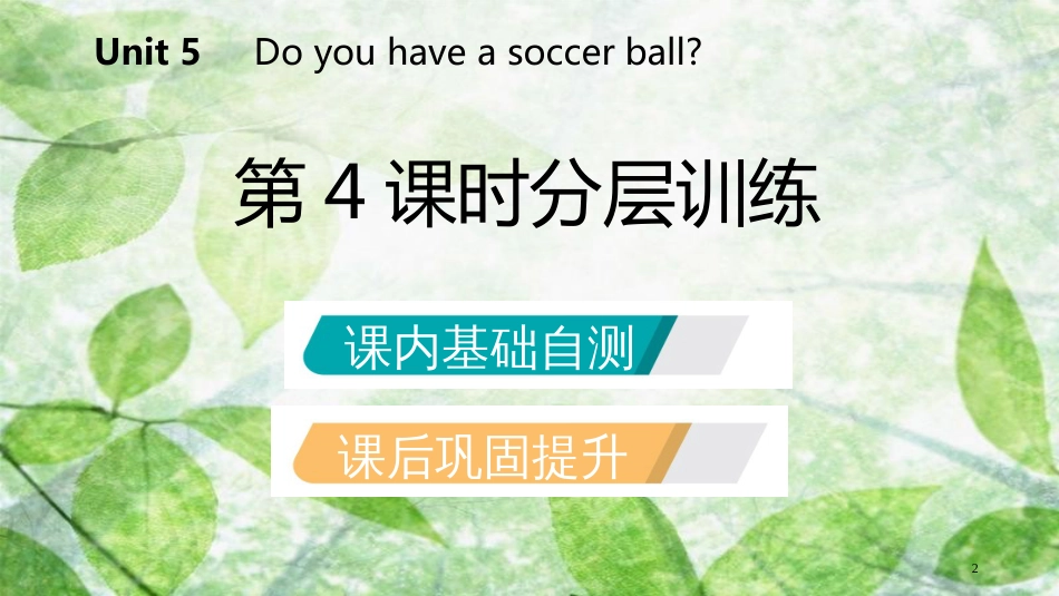 七年级英语上册 Unit 5 Do you have a soccer ball（第4课时）分层训练优质课件 （新版）人教新目标版_第2页