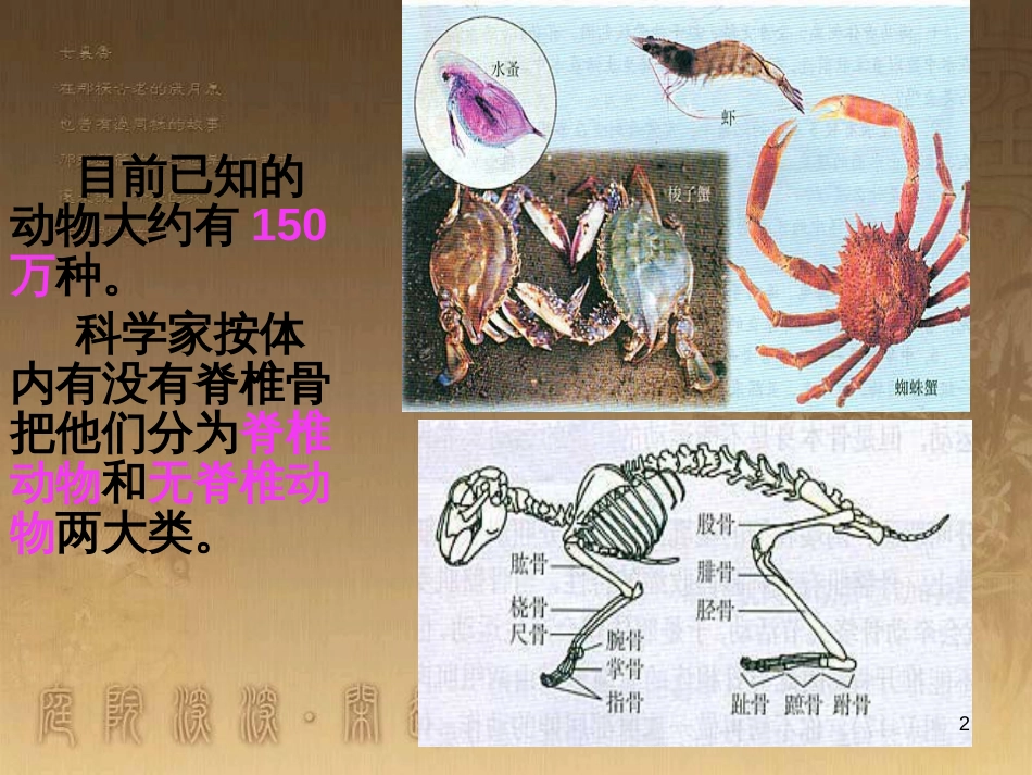 七年级生物上册 第二单元 第一章 第一二节综合课件 （新版）新人教版 (2)_第2页