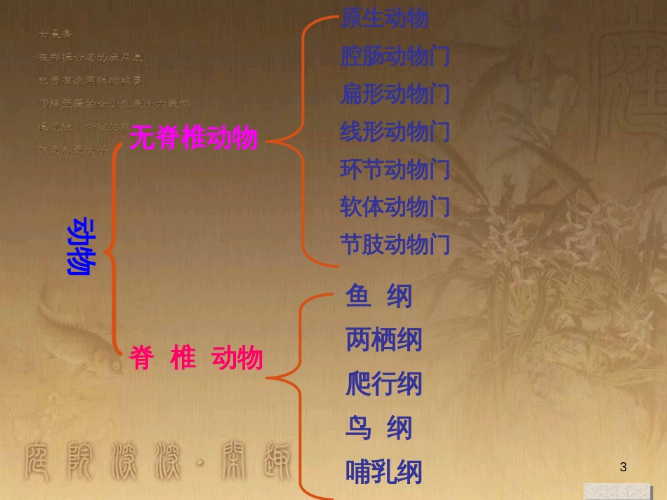 七年级生物上册 第二单元 第一章 第一二节综合课件 （新版）新人教版 (2)_第3页