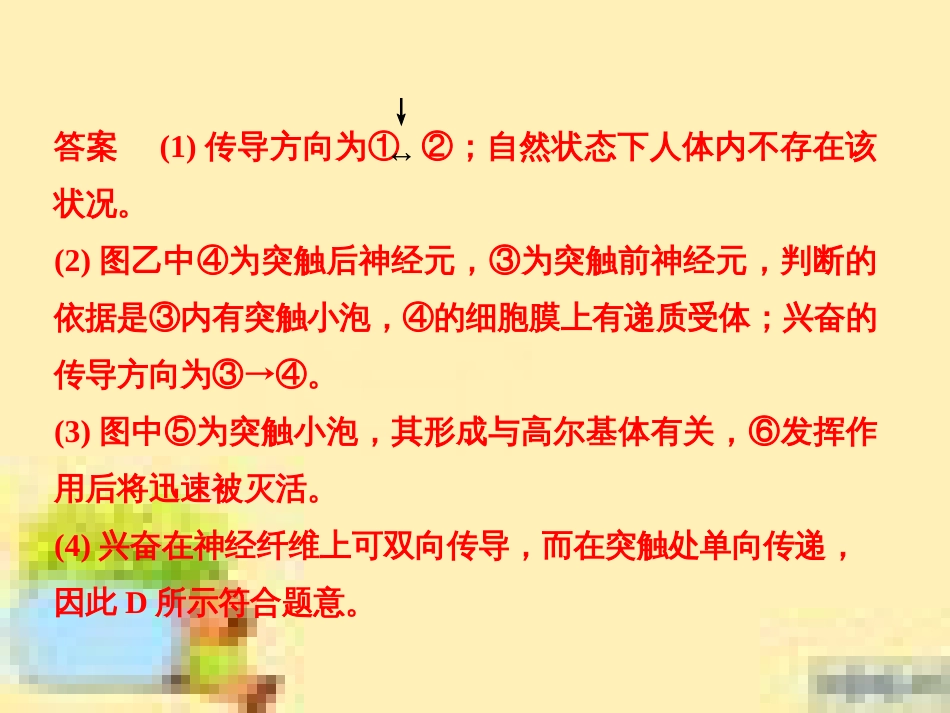 高中生物 第一单元 生物个体的稳态与调节 第一章 植物生命活动的调节章末整合课件 中图版必修3 (26)_第3页