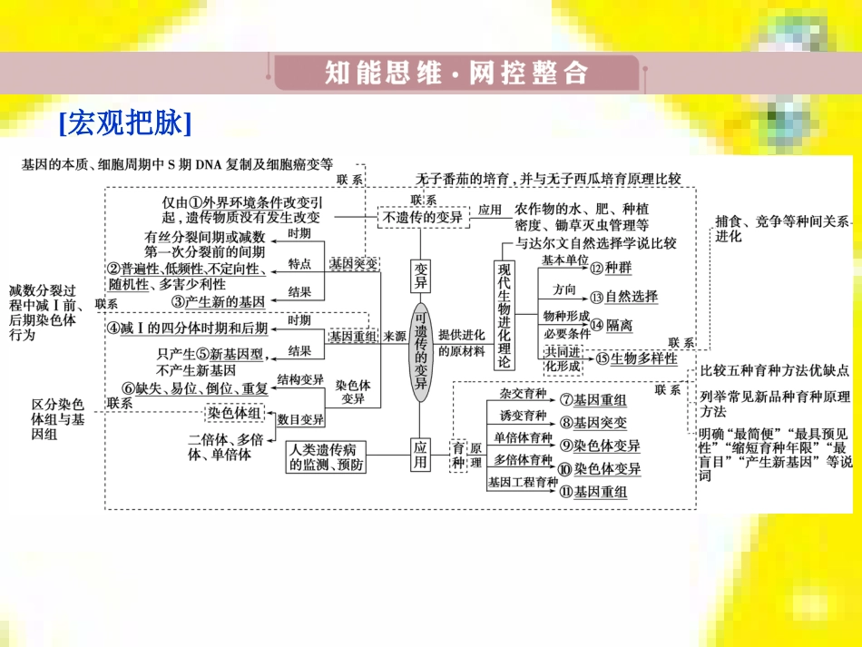 高中生物 第7章 第2节 现代生物进化理论的主要内容课件 新人教版必修2 (5)_第3页