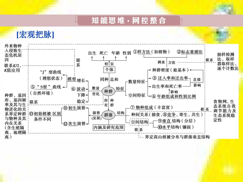 高中生物 第7章 第2节 现代生物进化理论的主要内容课件 新人教版必修2 (12)_第3页