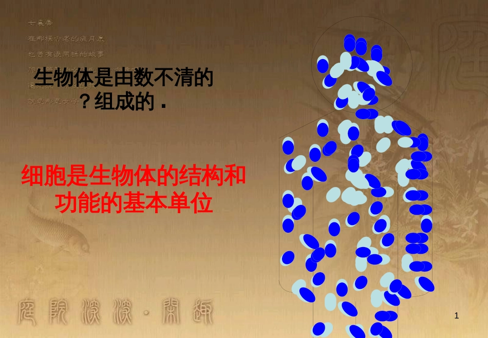 七年级生物上册 第二单元 第一章 第一二节综合课件 （新版）新人教版 (214)_第1页