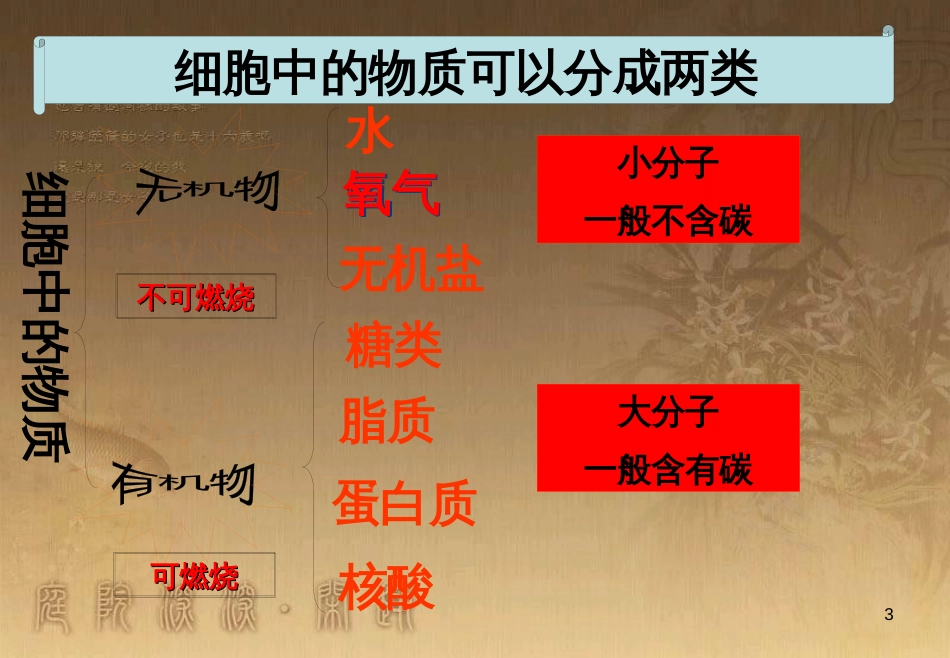 七年级生物上册 第二单元 第一章 第一二节综合课件 （新版）新人教版 (214)_第3页