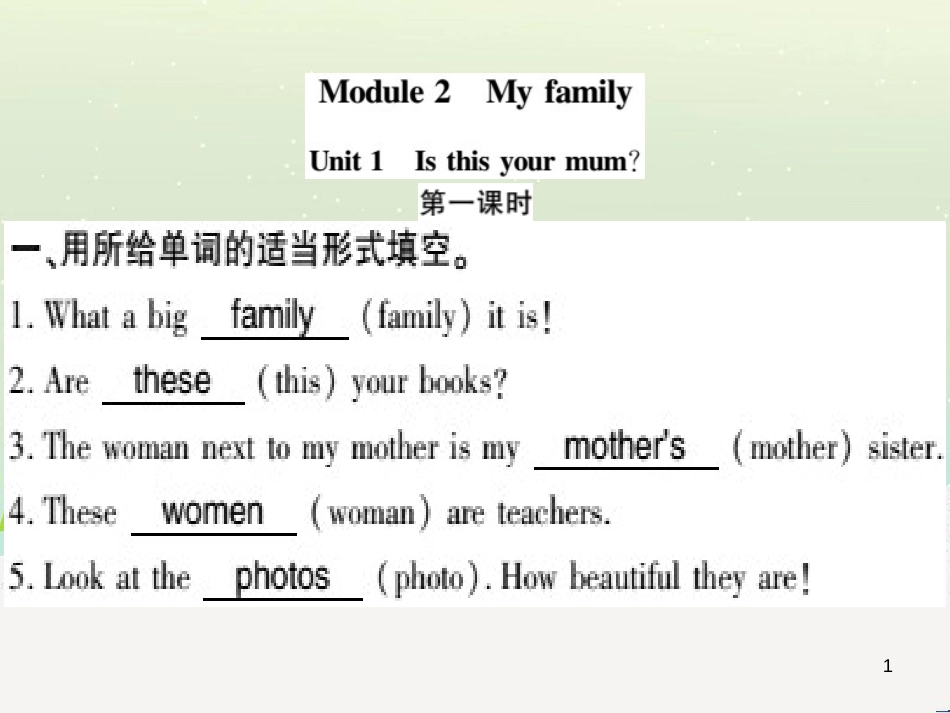 七年级英语上册 Module 1 My classmates Unit 1 Nice to meet you习题课件 （新版）外研版 (28)_第1页