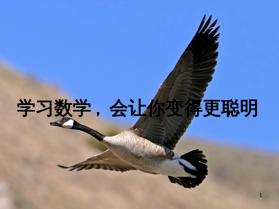 七年级生物上册 第二单元 第一章 第一二节综合课件 （新版）新人教版 (75)_第1页