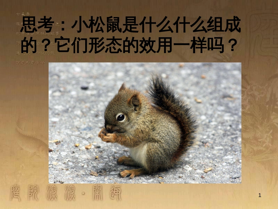 七年级生物上册 第二单元 第一章 第一二节综合课件 （新版）新人教版 (216)_第1页