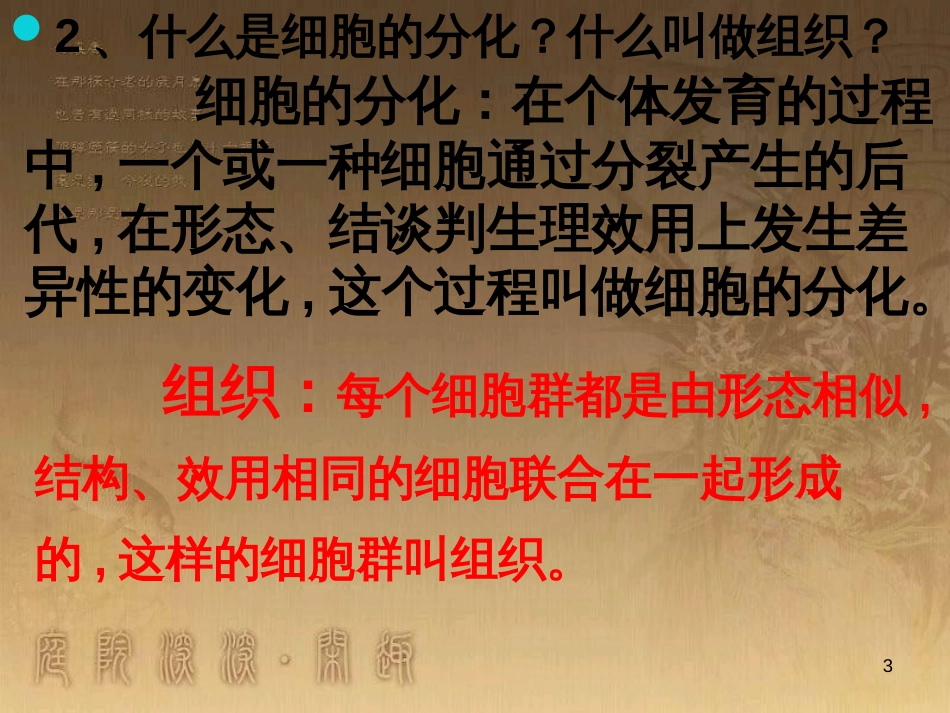 七年级生物上册 第二单元 第一章 第一二节综合课件 （新版）新人教版 (216)_第2页