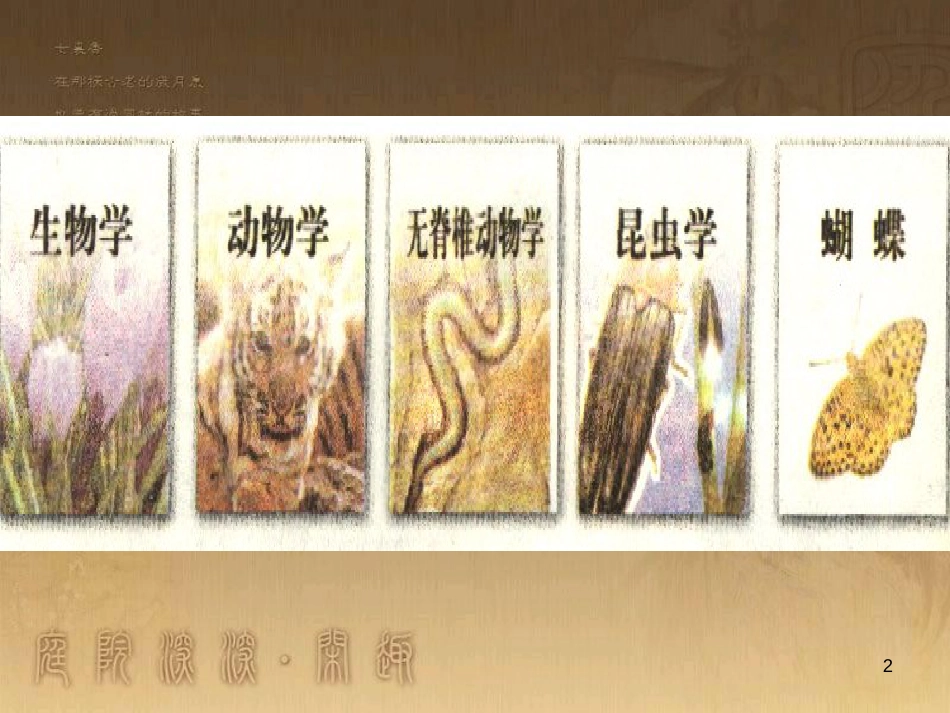 八年级生物上册 6.3 保护生物的多样性课件 （新版）新人教版 (27)_第2页