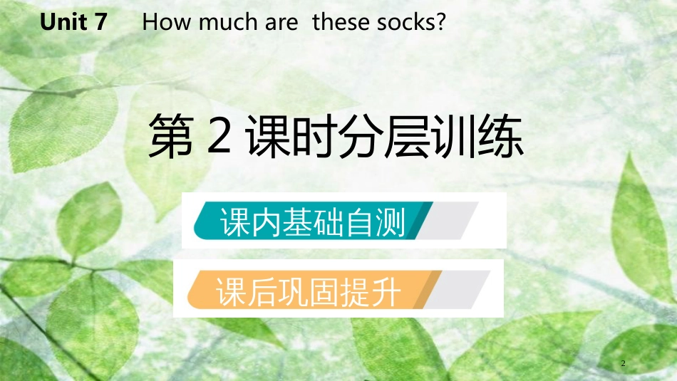 七年级英语上册 Unit 7 How much are these socks（第2课时）分层训练优质课件 （新版）人教新目标版_第2页