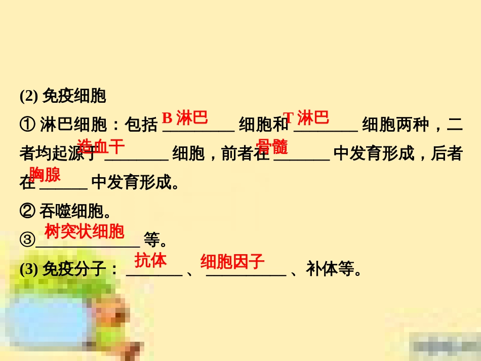 高中生物 第一单元 生物个体的稳态与调节 第一章 植物生命活动的调节章末整合课件 中图版必修3 (24)_第3页