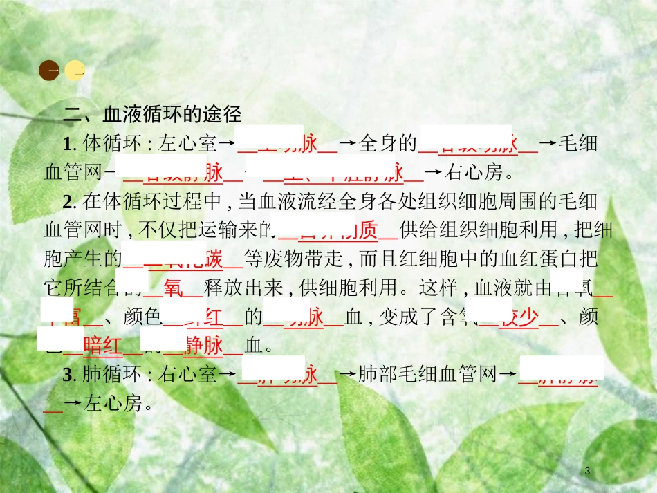 中考生物 第四单元 生物圈中的人 第四章 人体内物质的运输 第三节 输送血液的泵——心脏课件 新人教版_第3页