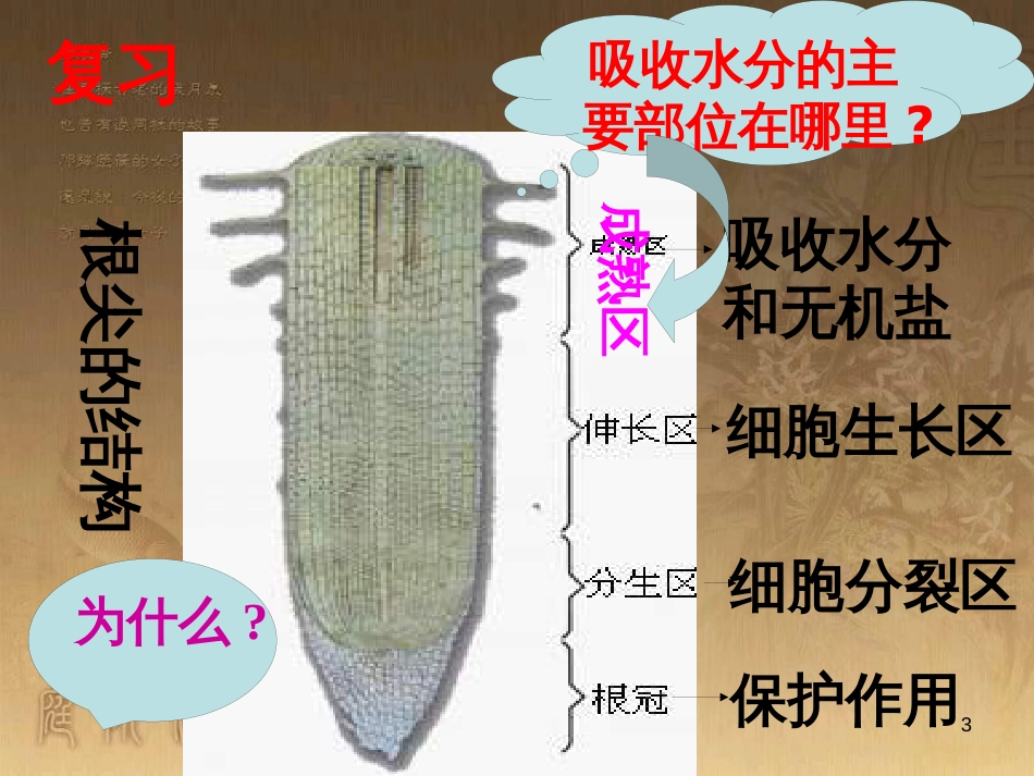 七年级生物上册 第二单元 第一章 第一二节综合课件 （新版）新人教版 (222)_第3页