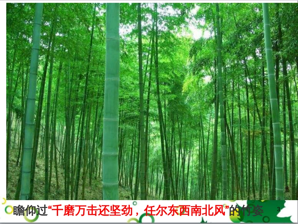 八年级语文上册 名著常识课件 语文版 (193)_第3页