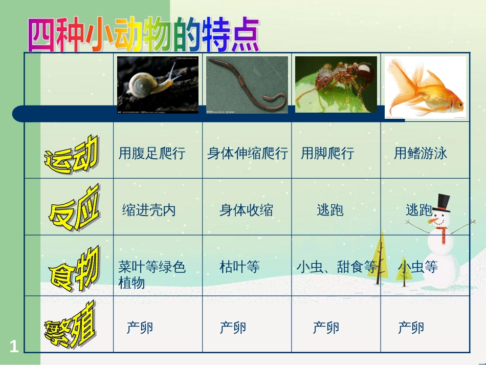 三年级科学上册 第二章 第1课 动物的食物课件1 新人教版 (58)_第1页