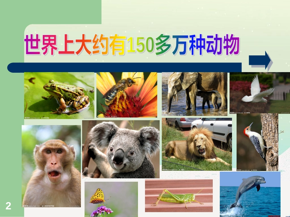 三年级科学上册 第二章 第1课 动物的食物课件1 新人教版 (58)_第2页