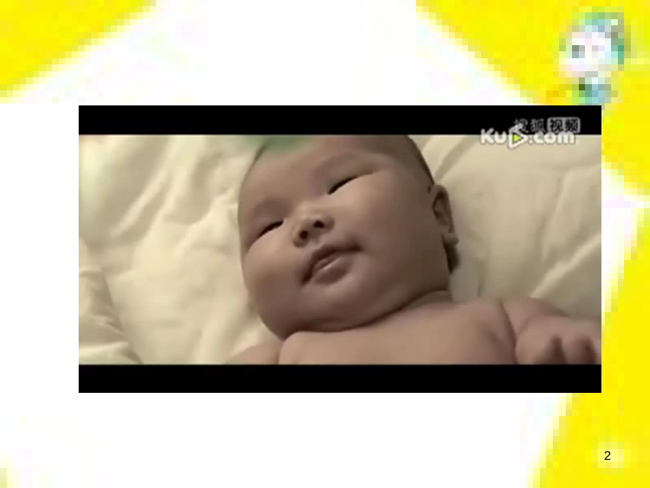 高中生物 第7章 第2节 现代生物进化理论的主要内容课件 新人教版必修2 (141)_第2页