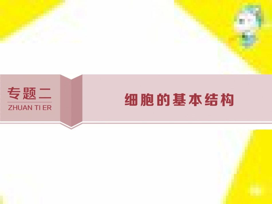 高中生物 第7章 第2节 现代生物进化理论的主要内容课件 新人教版必修2 (6)_第1页