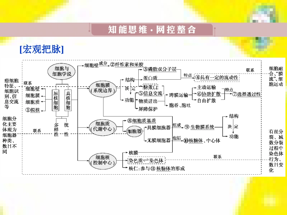 高中生物 第7章 第2节 现代生物进化理论的主要内容课件 新人教版必修2 (6)_第3页