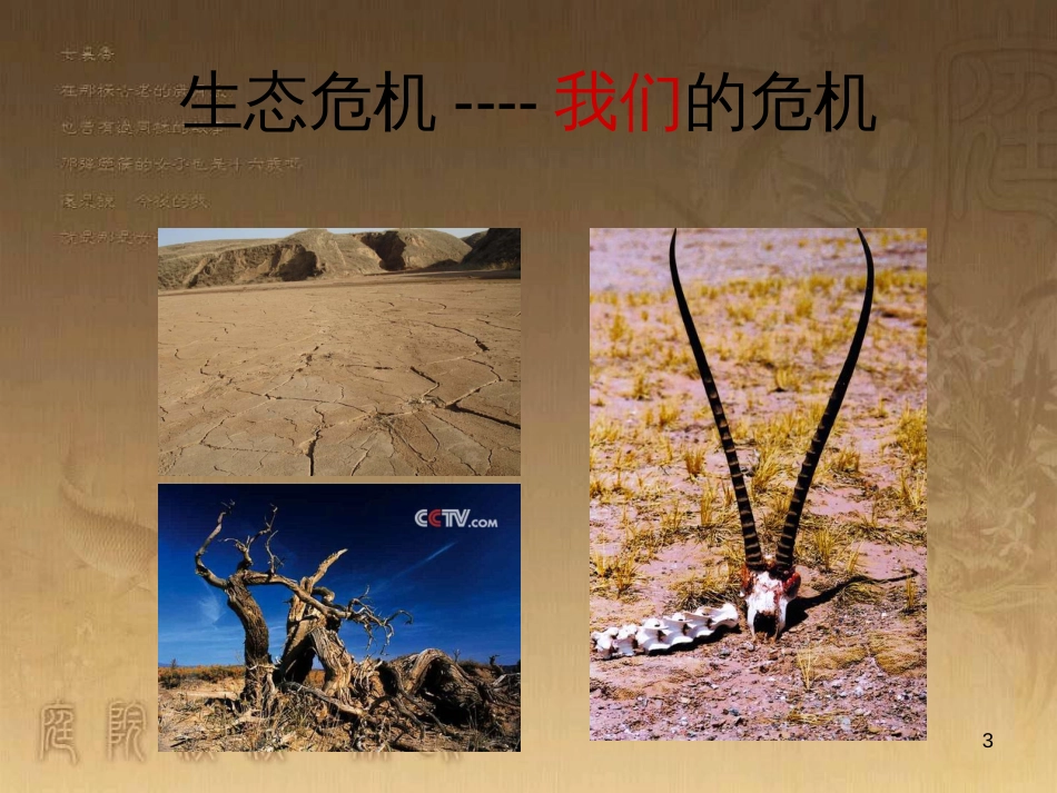 高中语文 期中复习课课件 苏教版必修1 (7)_第3页
