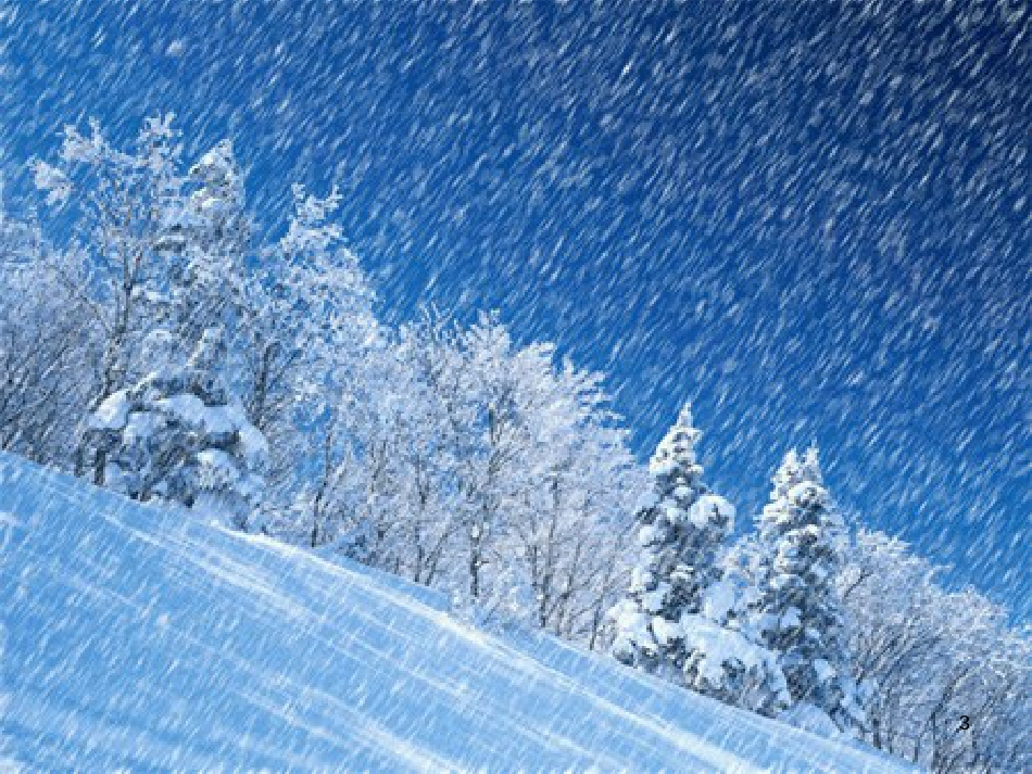 五年级语文上册 第六单元 雪地贺卡课件3 鄂教版_第3页