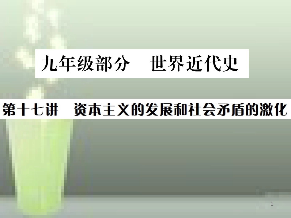 中考历史 基础复习 九年级部分 世界近代史 第十七讲 资本主义的发展和社会矛盾的激化优质课件_第1页