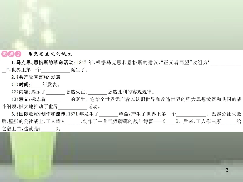中考历史 基础复习 九年级部分 世界近代史 第十七讲 资本主义的发展和社会矛盾的激化优质课件_第3页