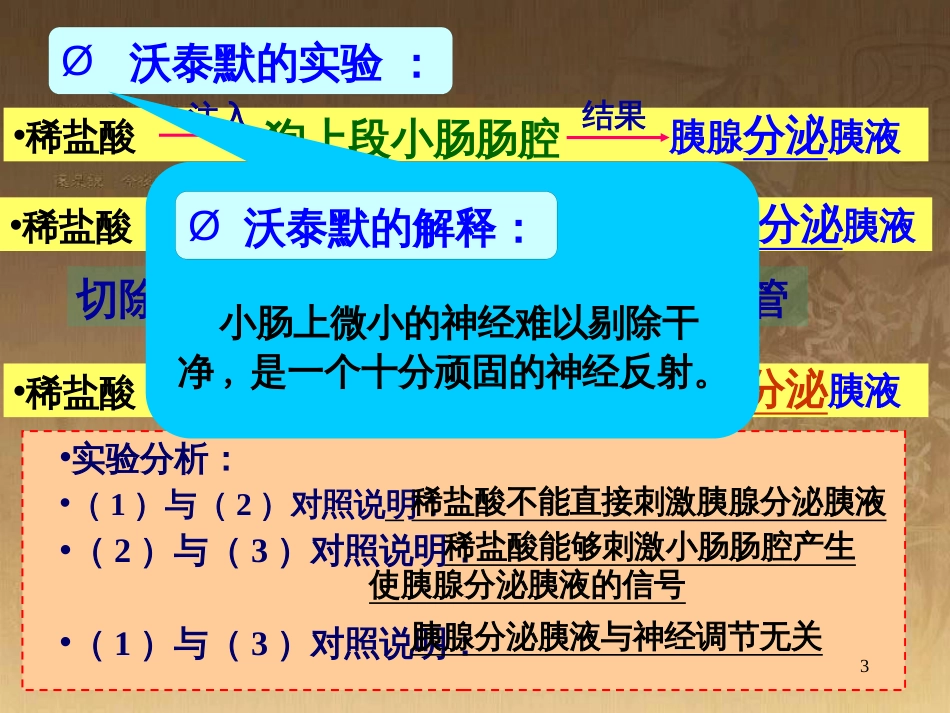 高中生物 第一章 传统发酵技术的应用 1.2 腐乳的制作课件 新人教版选修1 (5)_第3页