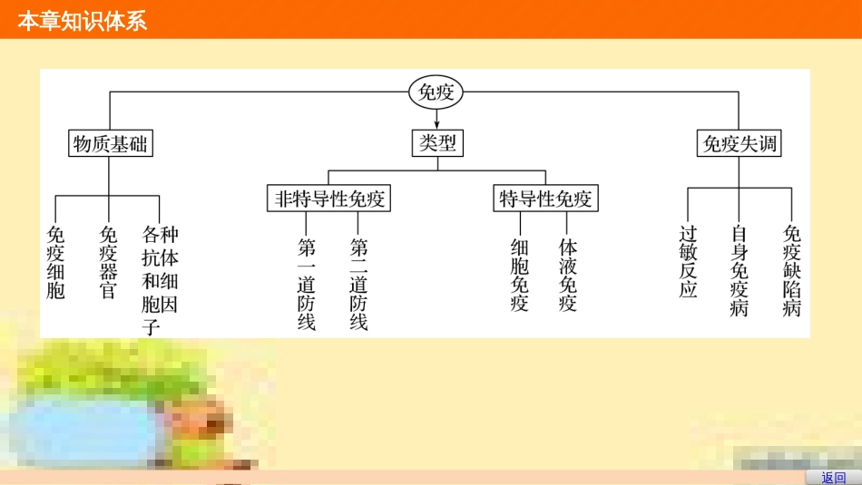 高中生物 第一单元 生物个体的稳态与调节 第一章 植物生命活动的调节章末整合课件 中图版必修3 (40)_第3页