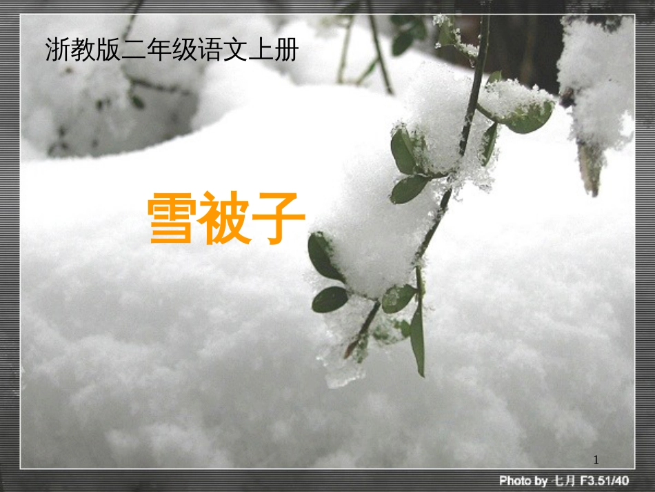 二年级语文上册 雪被子课件1 浙教版_第1页