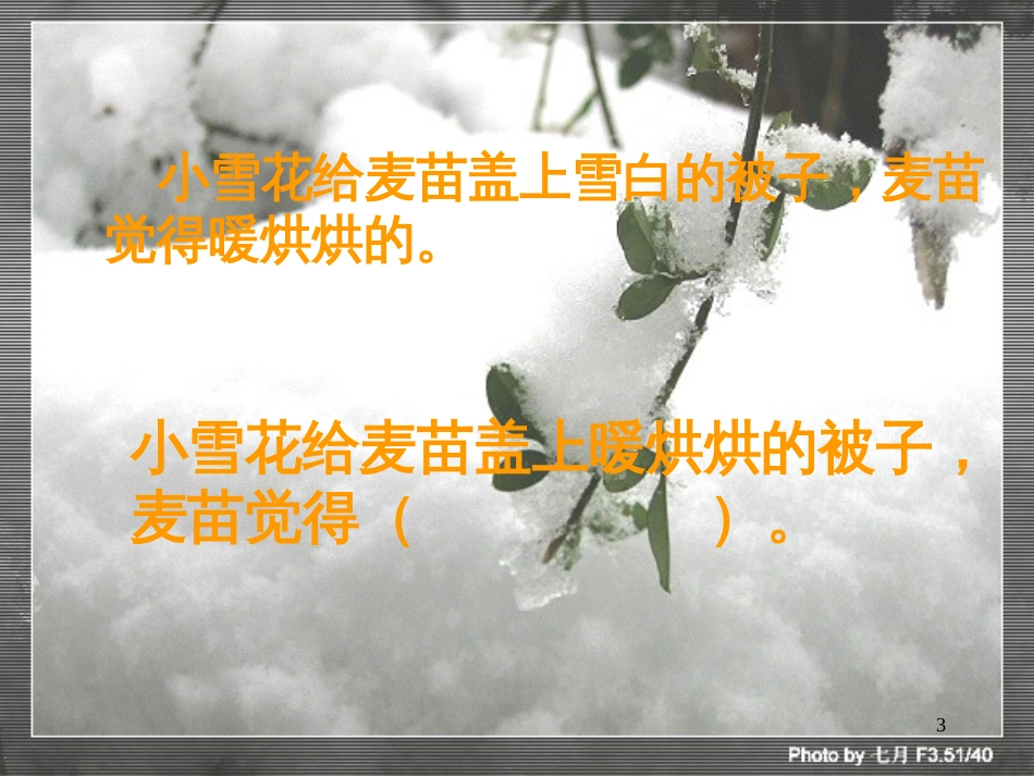 二年级语文上册 雪被子课件1 浙教版_第3页