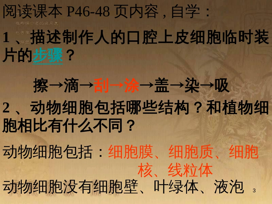 七年级生物上册 第二单元 第一章 第一二节综合课件 （新版）新人教版 (212)_第3页