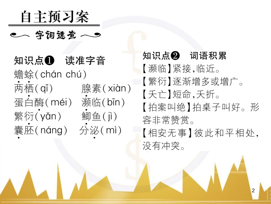 九年级英语上册 Module 11 Photos基础梳理课件 （新版）外研版 (1120)_第2页