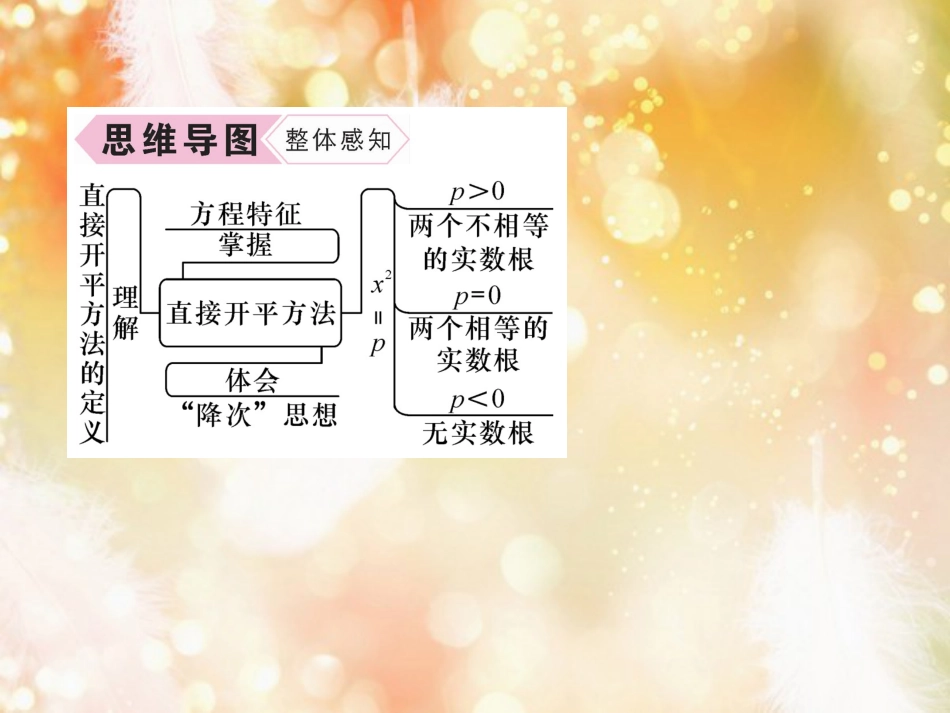 （遵义专版）九年级数学上册 第21章 一元二次方程 21.2 解一元二次方程 21.2.1 配方法 第1课时 用直接开平方法解一元二次方程习题课件 （新版）新人教版_第3页