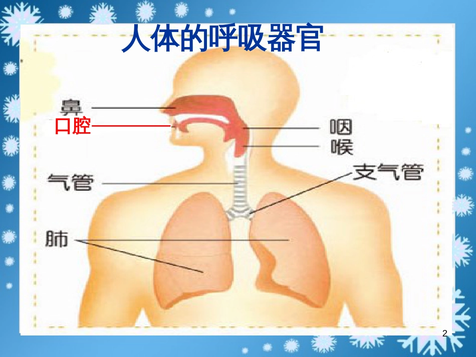 五年级科学上册 第7课 我们的呼吸课件2 青岛版_第2页