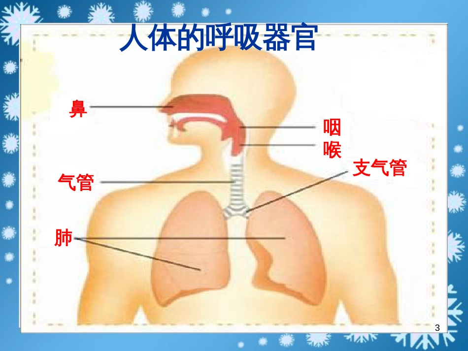 五年级科学上册 第7课 我们的呼吸课件2 青岛版_第3页