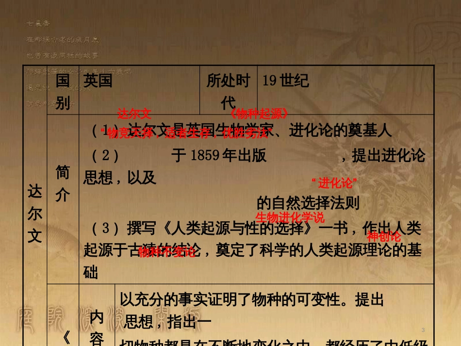 中考历史 主题8 科学与思想文化复习课件_第3页