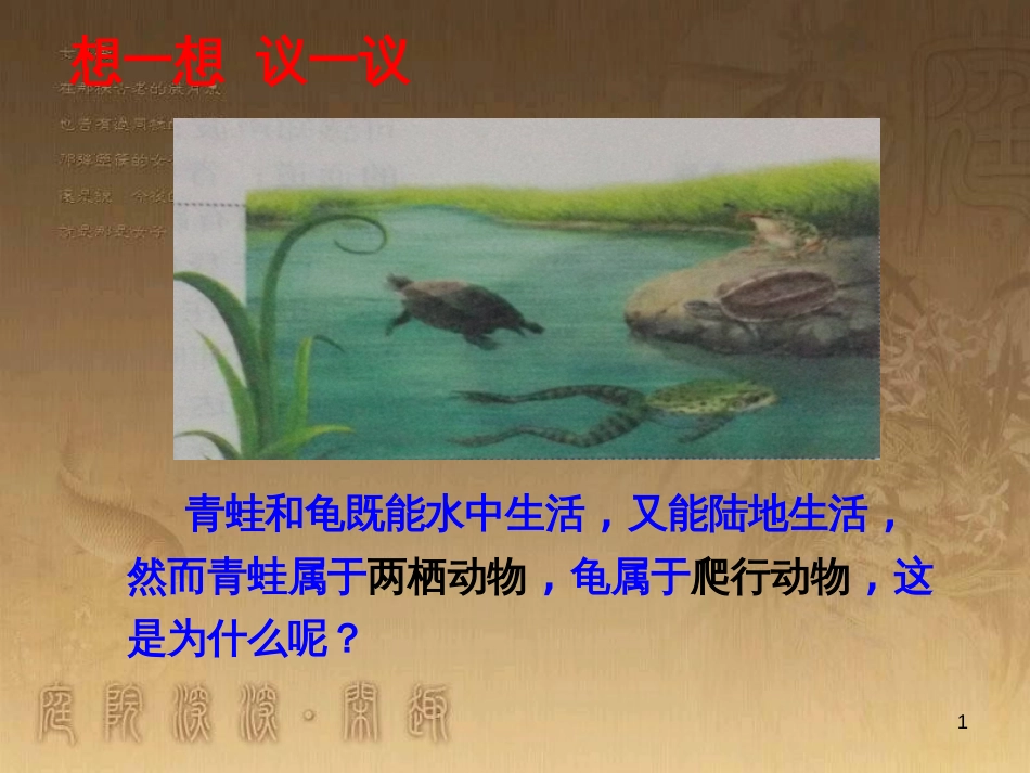 八年级生物上册 6.3 保护生物的多样性课件 （新版）新人教版 (20)_第1页