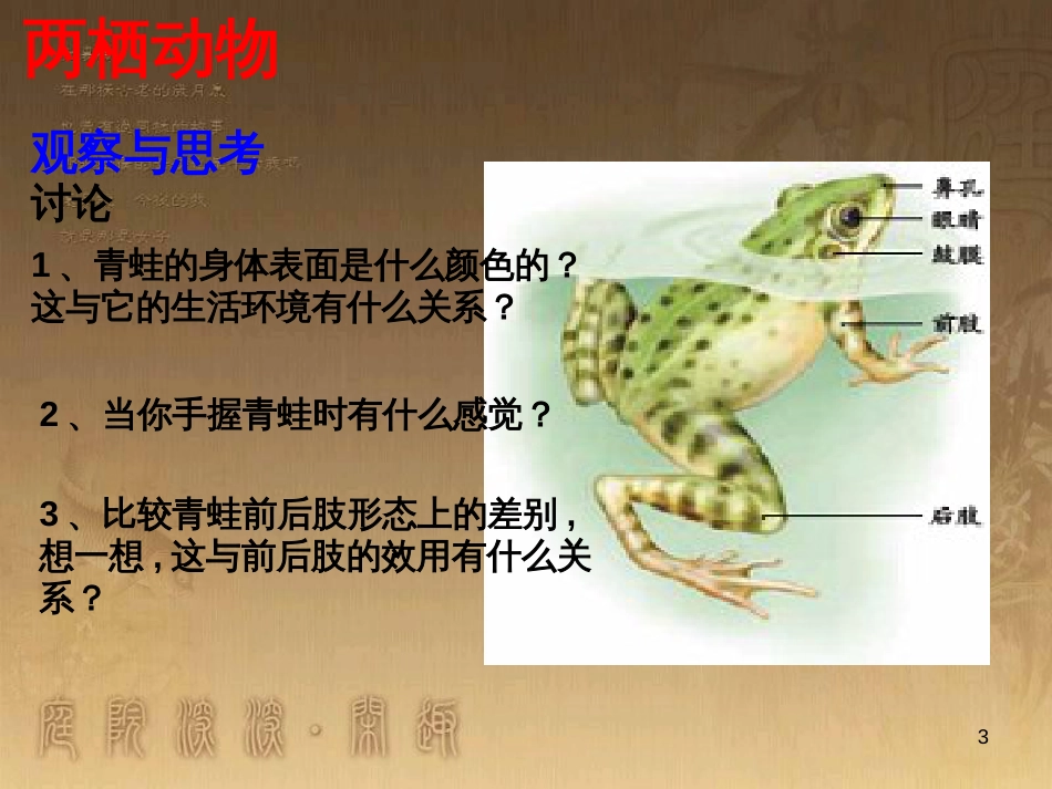 八年级生物上册 6.3 保护生物的多样性课件 （新版）新人教版 (20)_第3页