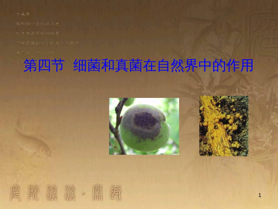 七年级生物上册 第二单元 第一章 第一二节综合课件 （新版）新人教版 (9)_第1页