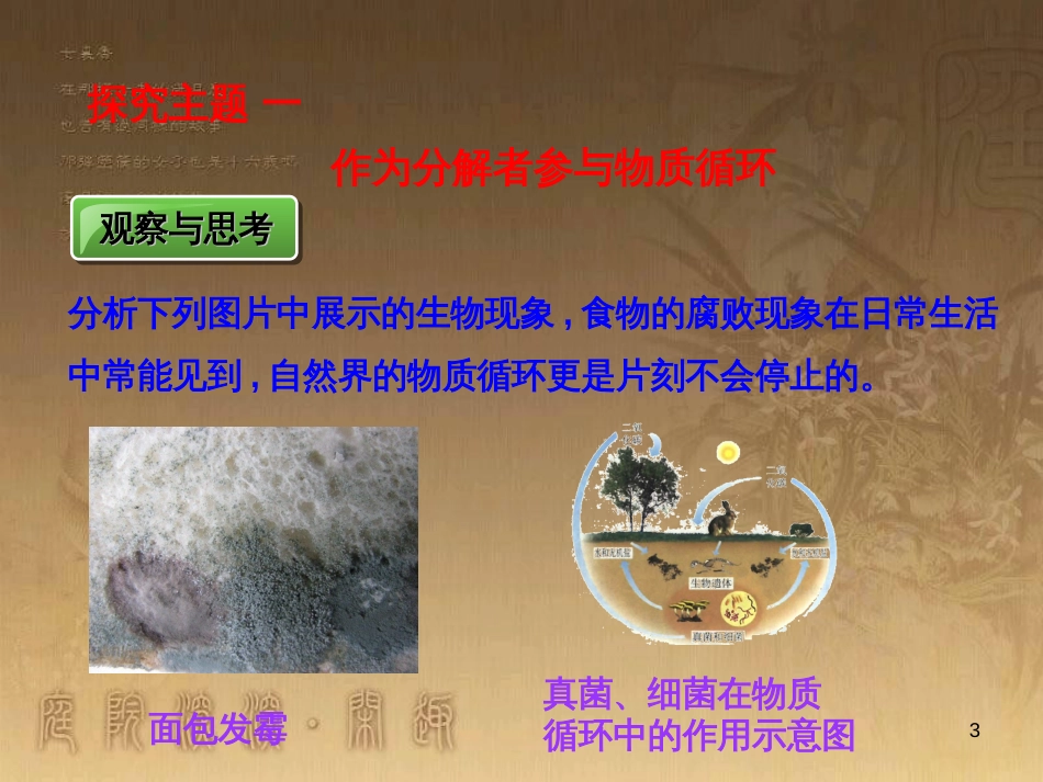 七年级生物上册 第二单元 第一章 第一二节综合课件 （新版）新人教版 (9)_第3页