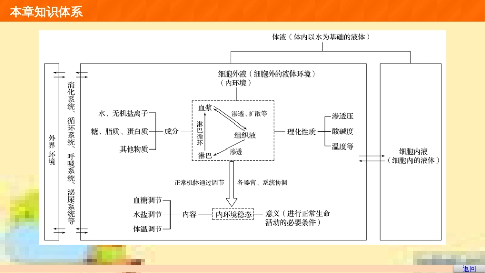 高中生物 第一单元 生物个体的稳态与调节 第一章 植物生命活动的调节章末整合课件 中图版必修3 (31)_第3页