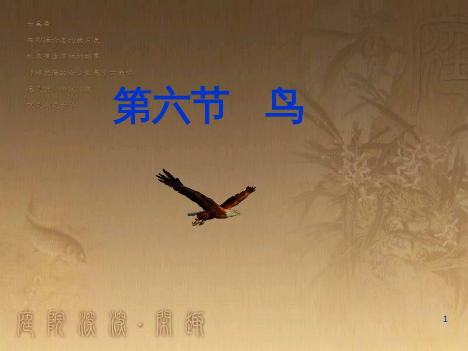 八年级生物上册 6.3 保护生物的多样性课件 （新版）新人教版 (21)_第1页