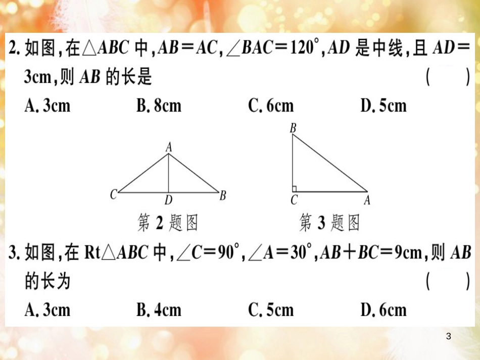 八年级数学上册 第十三章 轴对称 13.3 等腰三角形 13.3.2 等边三角形 第2课时 含30°角的直角三角形的性质习题讲评课件 （新版）新人教版_第3页