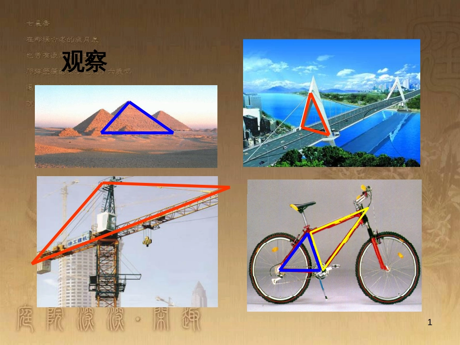 七年级生物上册 第二单元 第一章 第一二节综合课件 （新版）新人教版 (17)_第1页