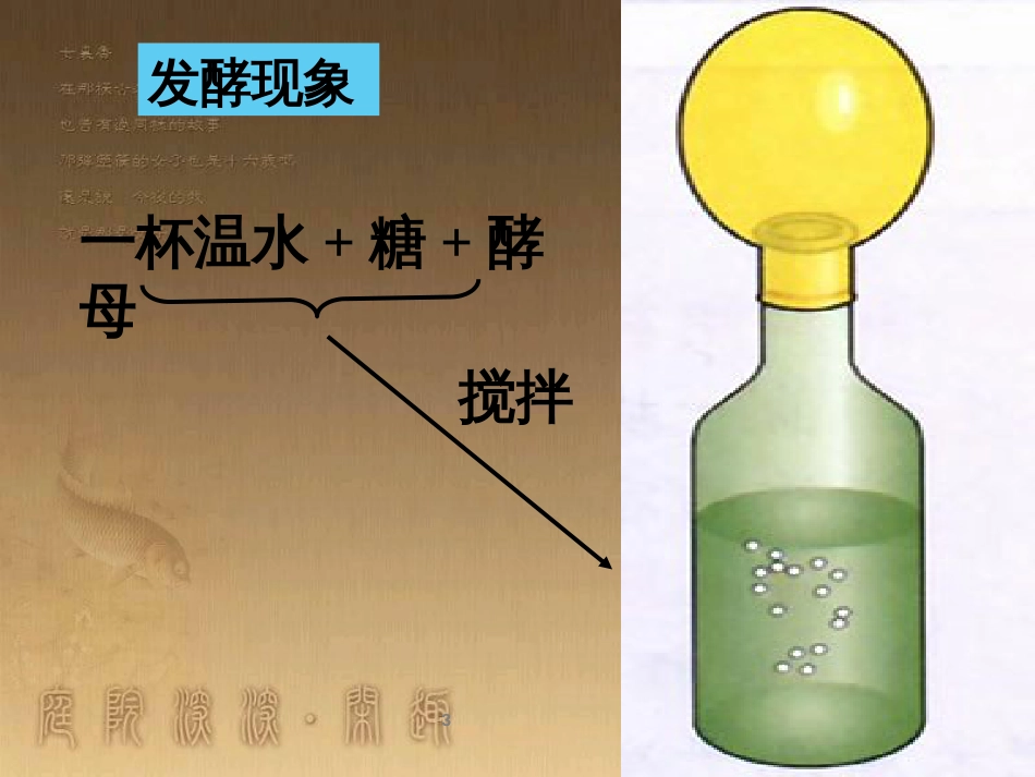八年级生物上册 6.3 保护生物的多样性课件 （新版）新人教版 (26)_第3页