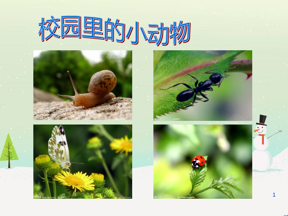 三年级科学上册 第二章 第1课 动物的食物课件1 新人教版 (81)_第1页