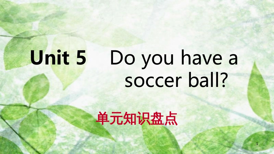七年级英语上册 Unit 5 Do you have a soccer ball单元知识盘点优质课件 （新版）人教新目标版_第1页