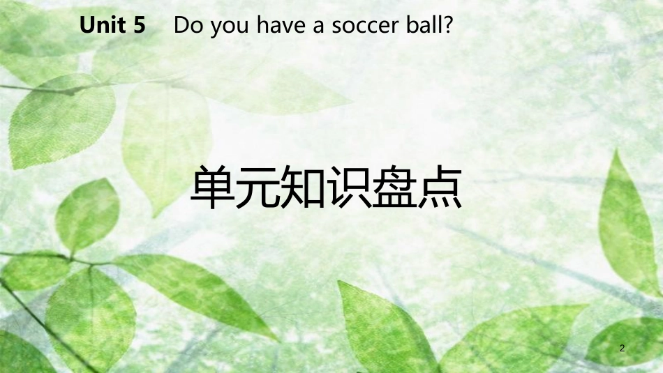 七年级英语上册 Unit 5 Do you have a soccer ball单元知识盘点优质课件 （新版）人教新目标版_第2页